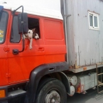 MOBILE HOME